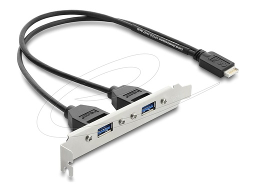[67346] Delock USB-Konsole - 20-poliger USB Typ E (M)