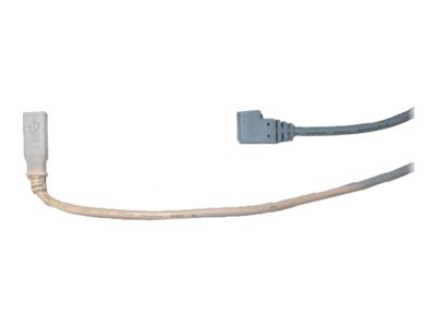 [01542-002] Zebra USB-Kabel - USB Typ B (M) zu USB (M)