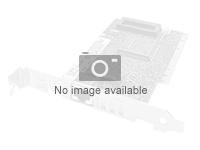 [P2100G] Synology P2100G - Netzwerkadapter - PCIe 4.0 x16