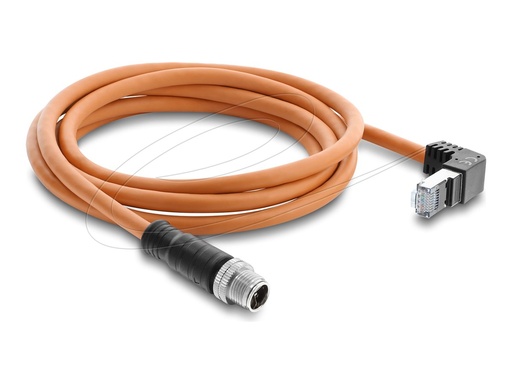 [81000] Delock Netzwerkkabel - 8-polig M12 (M) gerade zu RJ-45 (M)