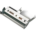 [1-040083-900] HONEYWELL 300 dpi - Druckkopf - für EasyCoder PX4i