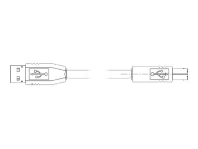 [105850-028] Zebra USB-Kabel - USB (M) zu USB Typ B (M)