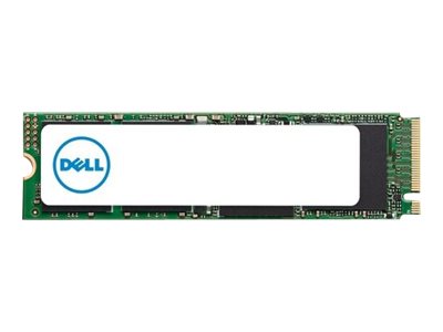 [AA615519] Dell  SSD - 256 GB - intern - M.2 2280 - PCIe