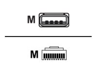[CBL-U20755-01] Zebra Kabel für Barcode-Scanner - USB (M)