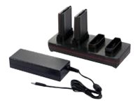 [CX80-QBC-UV-0] HONEYWELL Standard - Batterieladegerät - Ausgangsanschlüsse: