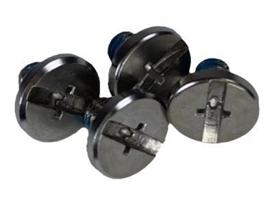 [SG-RFD40-ADPSCRWS-01] Zebra Schraube (Packung mit 4) - für Zebra RFD40 Premium