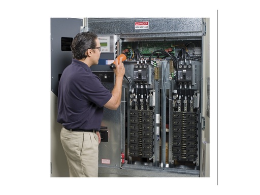 [WSAPMV-UG-01] APC Preventive Maintenance Visit - Technischer Support - Präventive Wartung (für USV- und SV-Geräte)