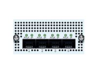 [XGSZTCHF4] Sophos FleXi Port - Erweiterungsmodul - 10 Gigabit