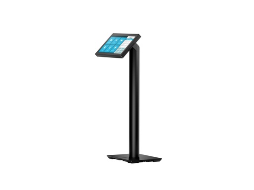 HP Engage Pole Display - Kundenanzeige - 16.8 cm (6.6") (10P79AA)